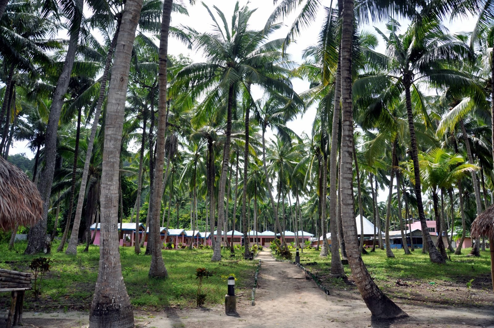 A beach resort on Havelock Island in the Andamans